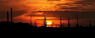 Picture of the desert sunset in Arizona Picture of the desert sunset in Arizona