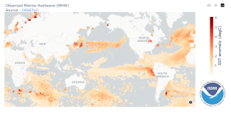 Alt text: Map of the Observed Marine Heatwaves (OMH).