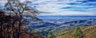 Photo of a Virginia landscape Photo of a Virginia landscape