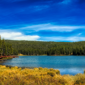 A lake surrounded by trees against a bright blue, slightly clouded sky.